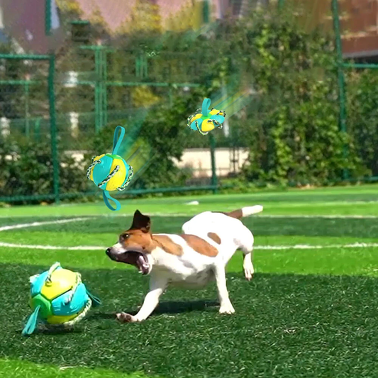 Superidag 50% DISCOUNT | FetchFrenzy™ | Indestructible 2-in-1 dog ball frisbee with rope
